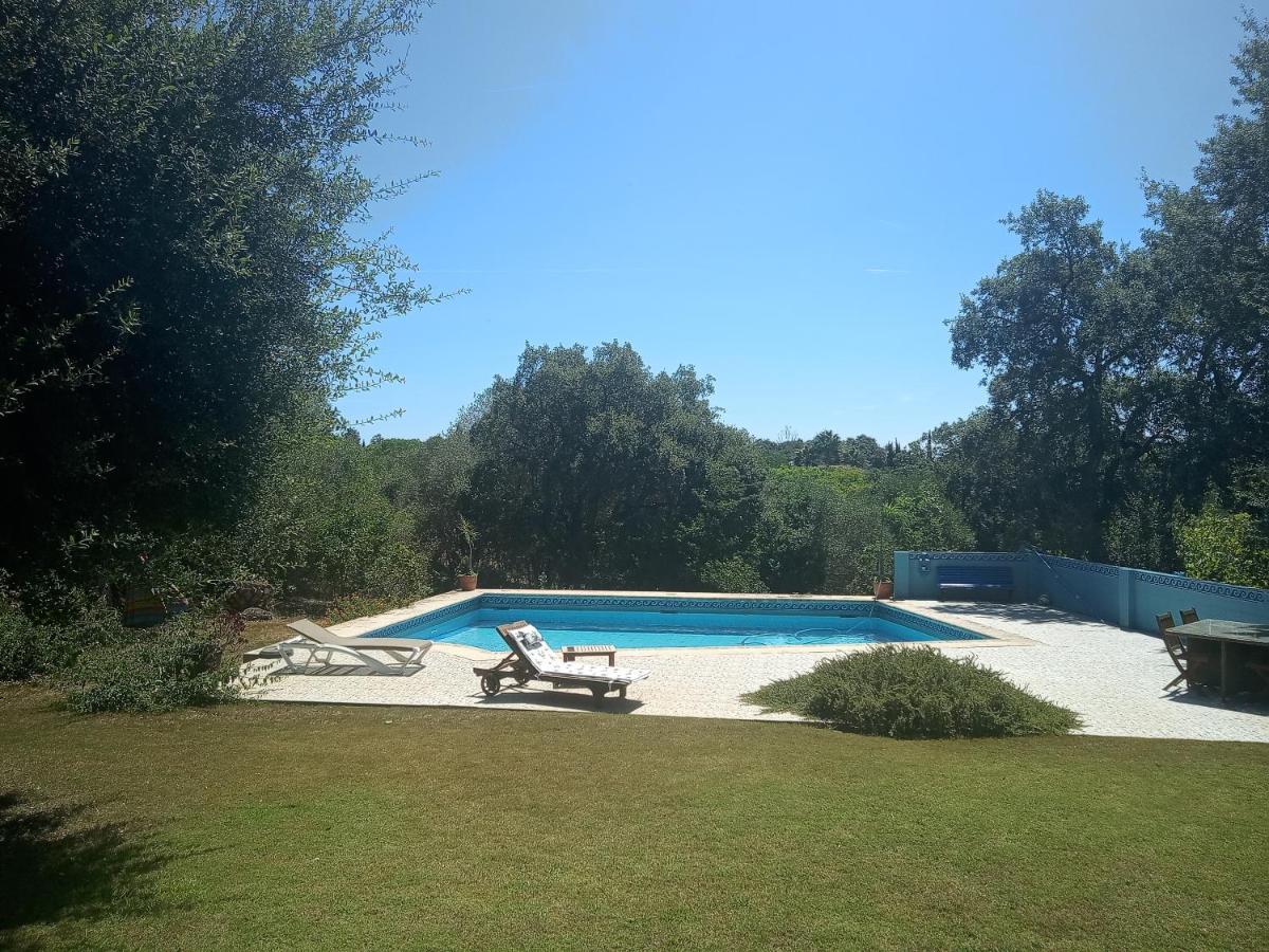 Sotogrande - Estancia En Plena Naturaleza - Abril Buitenkant foto