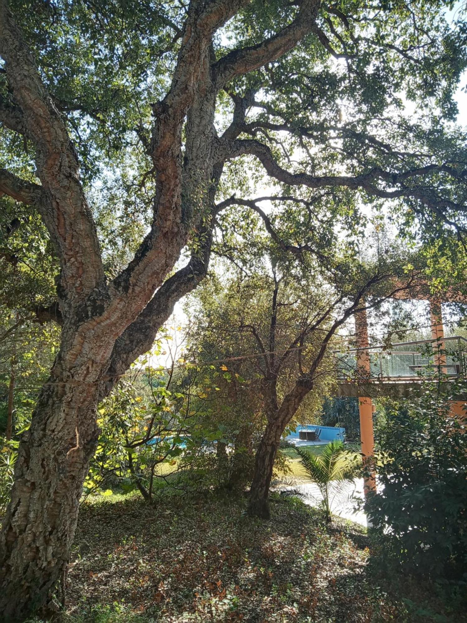 Sotogrande - Estancia En Plena Naturaleza - Abril Buitenkant foto