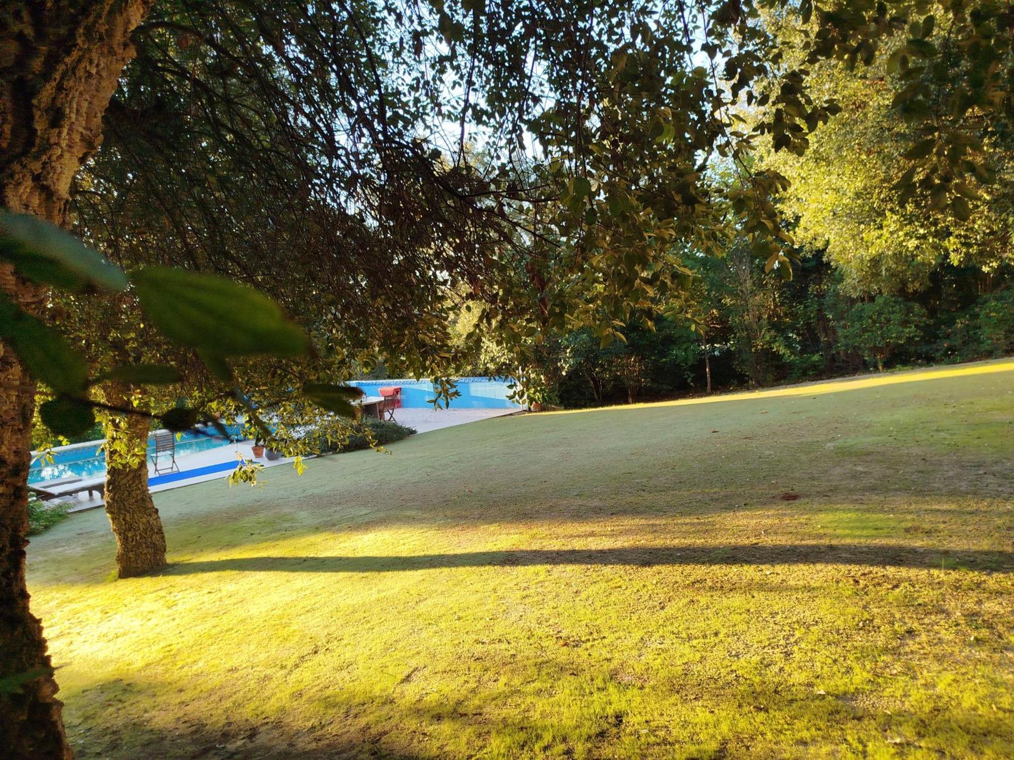 Sotogrande - Estancia En Plena Naturaleza - Abril Buitenkant foto